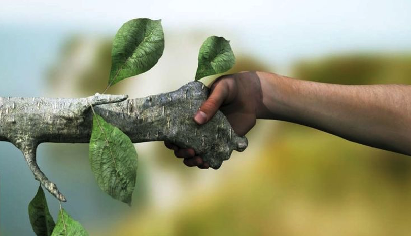 Le respect de la nature