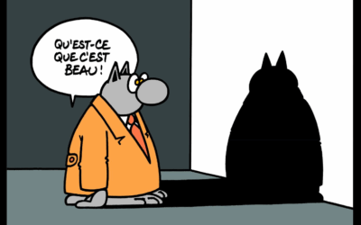L’émerveillement, ou l’art de regarder vraiment