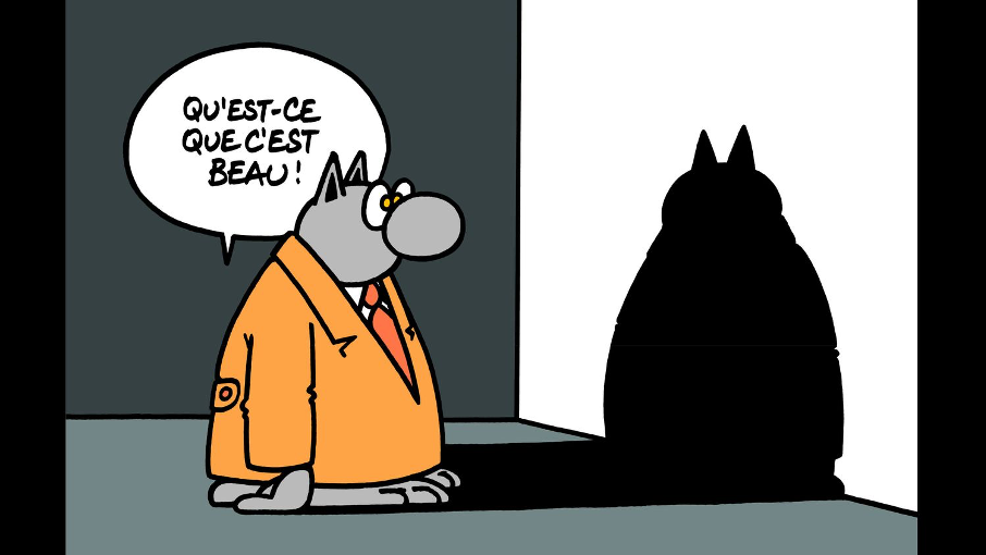 L’émerveillement, ou l’art de regarder vraiment